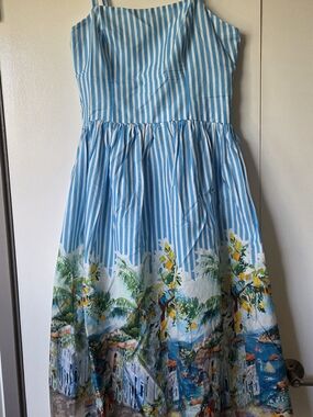 Blue Striped Sundress with Tropical Border Print